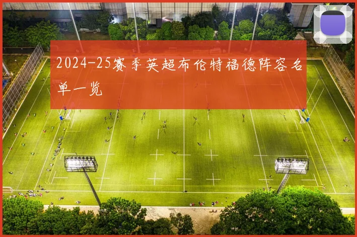 2024-25赛季英超布伦特福德阵容名单一览